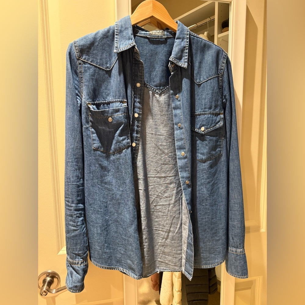 Aritzia Blue Button Down Shirt Classic Fit